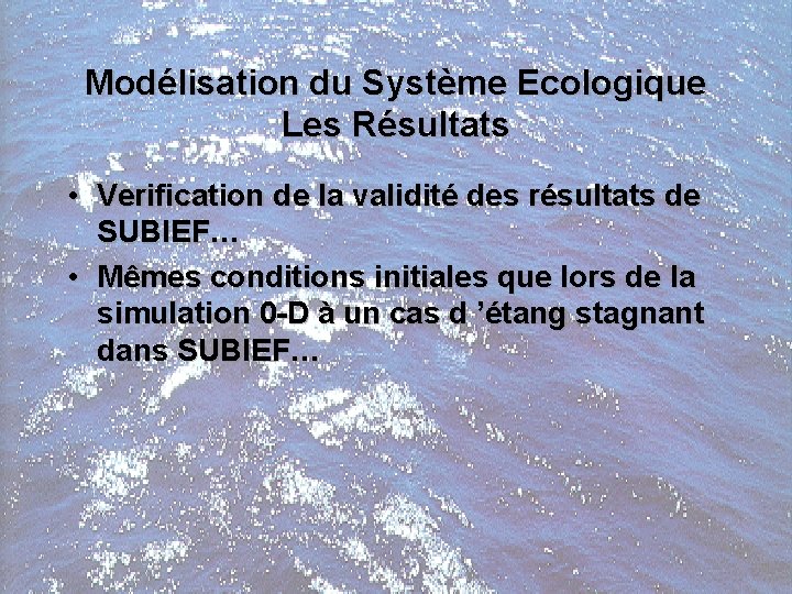 Modélisation du Système Ecologique Les Résultats • Verification de la validité des résultats de