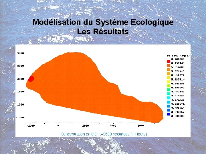 Modélisation du Système Ecologique Les Résultats 