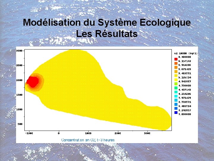 Modélisation du Système Ecologique Les Résultats 