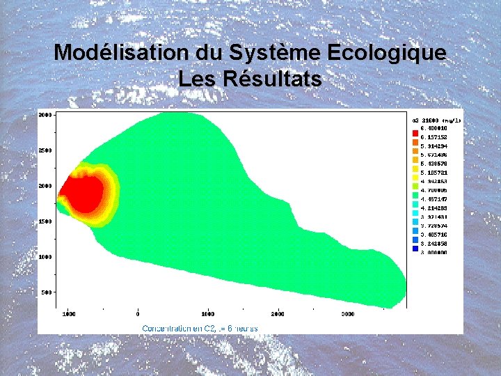 Modélisation du Système Ecologique Les Résultats 