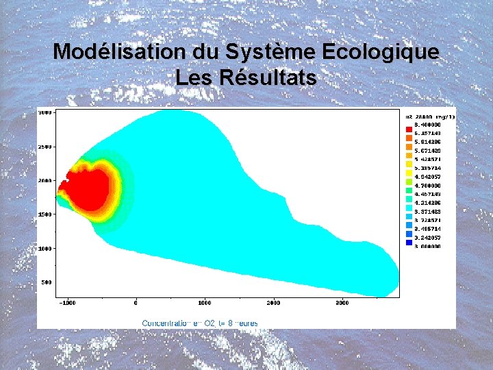 Modélisation du Système Ecologique Les Résultats 