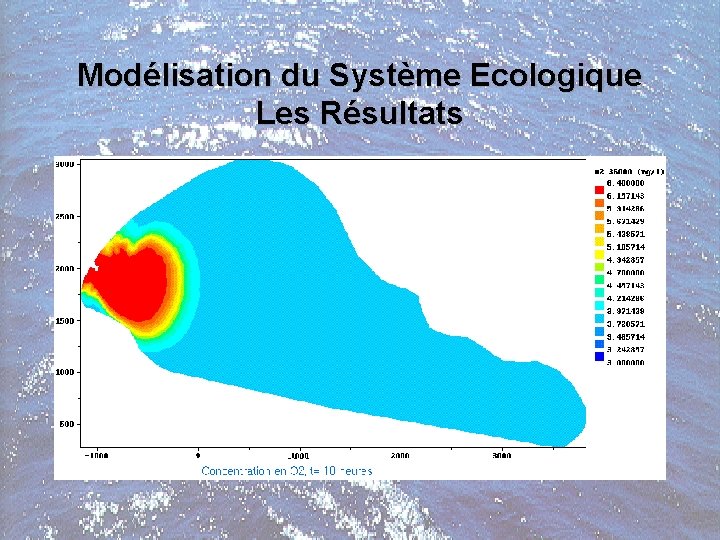 Modélisation du Système Ecologique Les Résultats 