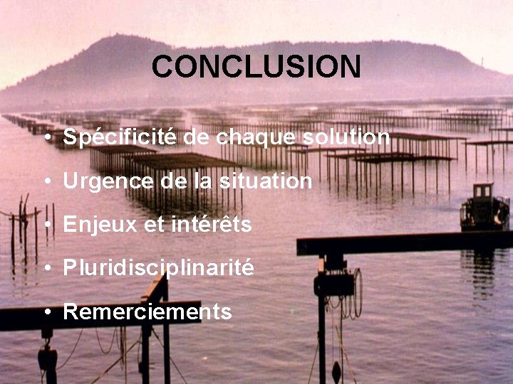 CONCLUSION • Spécificité de chaque solution • Urgence de la situation • Enjeux et