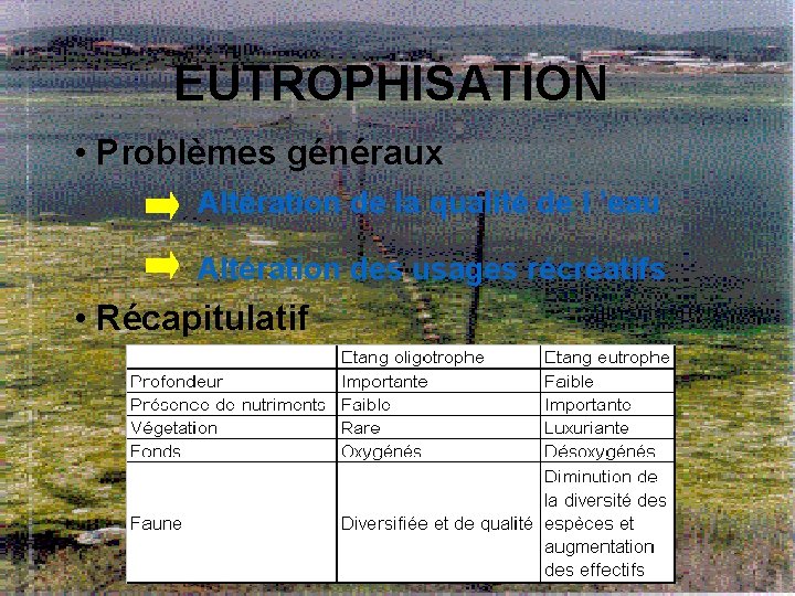 EUTROPHISATION • Problèmes généraux Altération de la qualité de l ’eau Altération des usages