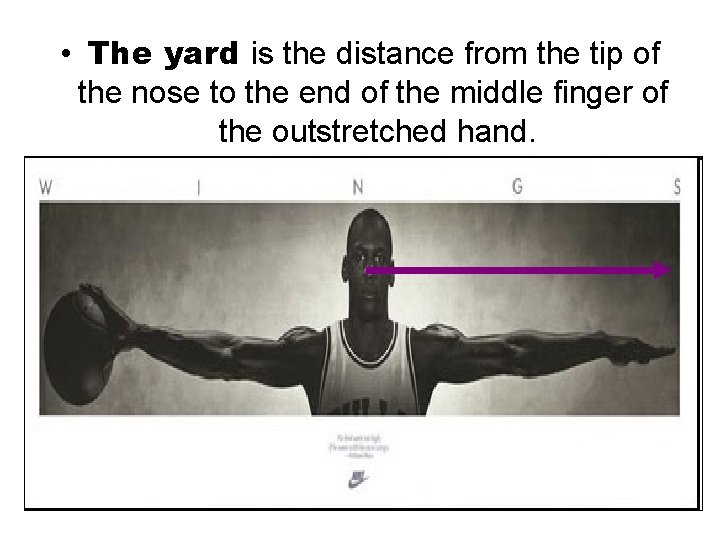  • The yard is the distance from the tip of the nose to