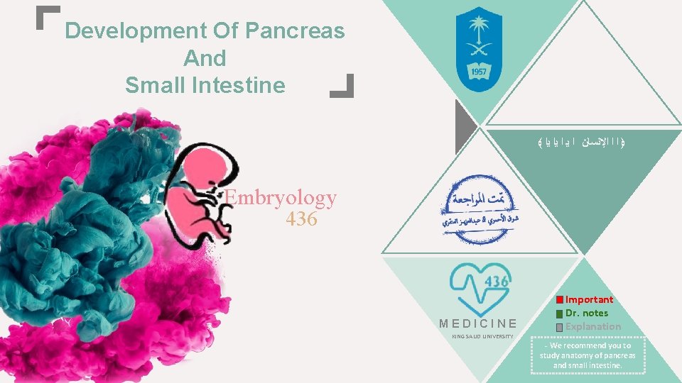 Development Of Pancreas And Small Intestine ﴾ ﴿ ﺍ ﺍ ﺍﻹﻧﺴﺎﻥ ﺍ ﻳﺍ ﻳﺍ