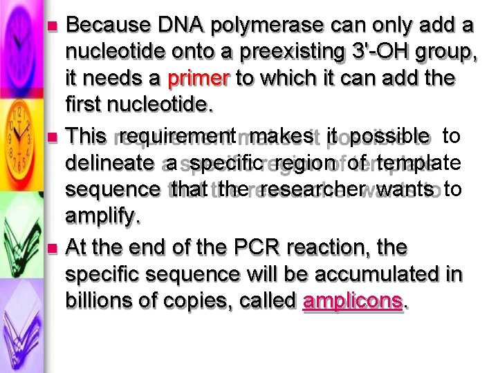  Because DNA polymerase can only add a nucleotide onto a preexisting 3'-OH group,