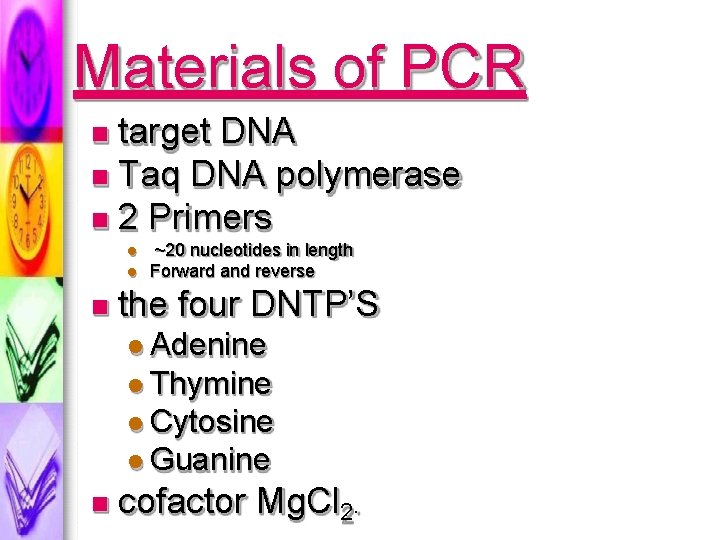Materials of PCR target DNA Taq DNA polymerase 2 Primers ~20 nucleotides in length