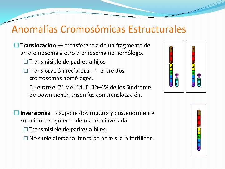 Anomalías Cromosómicas Estructurales � Translocación → transferencia de un fragmento de un cromosoma a