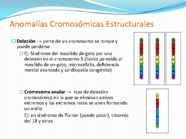 Anomalías Cromosómicas Estructurales � Deleción → parte de un cromosoma se rompe y puede