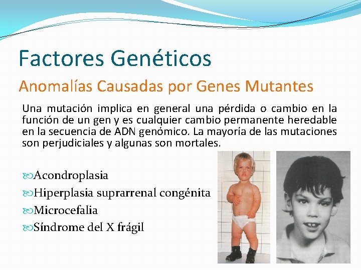 Factores Genéticos Anomalías Causadas por Genes Mutantes Una mutación implica en general una pérdida