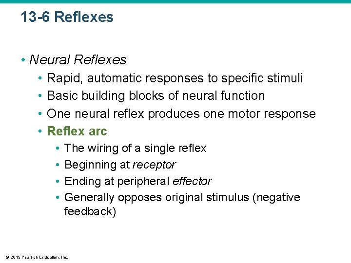 13 -6 Reflexes • Neural Reflexes • • Rapid, automatic responses to specific stimuli