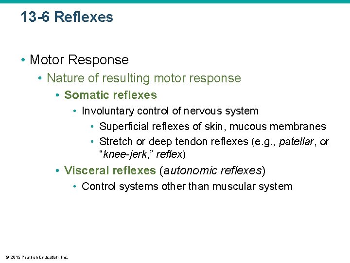13 -6 Reflexes • Motor Response • Nature of resulting motor response • Somatic