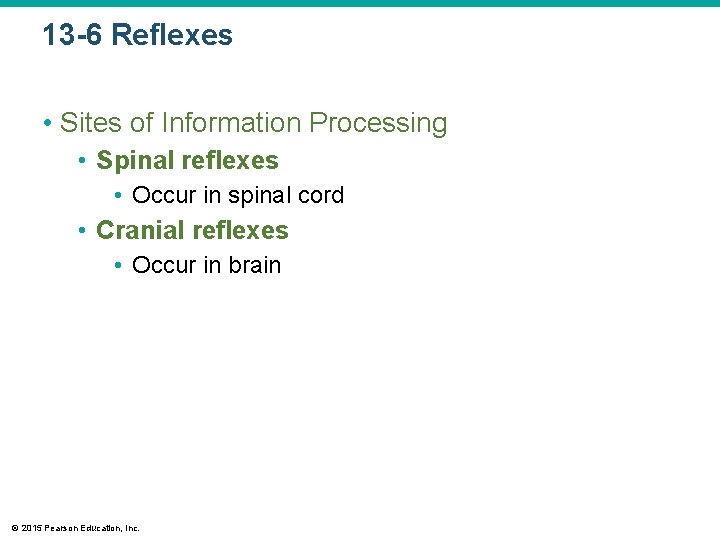 13 -6 Reflexes • Sites of Information Processing • Spinal reflexes • Occur in