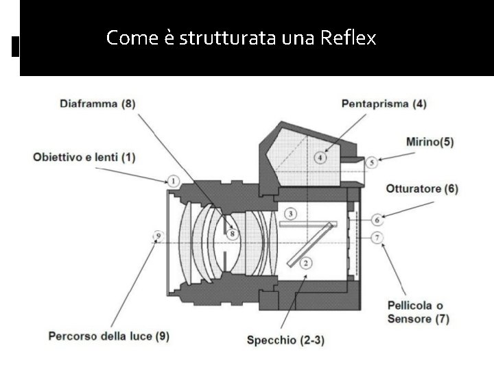 Come è strutturata una Reflex 