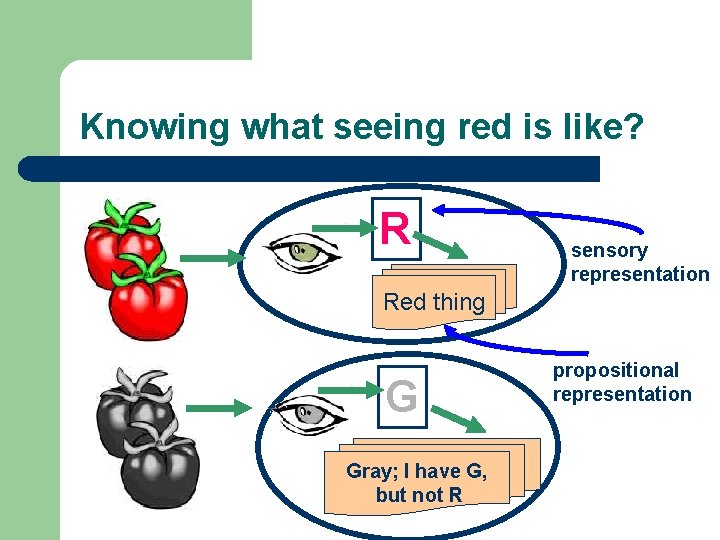 Knowing what seeing red is like? R sensory representation Red thing G Gray; I