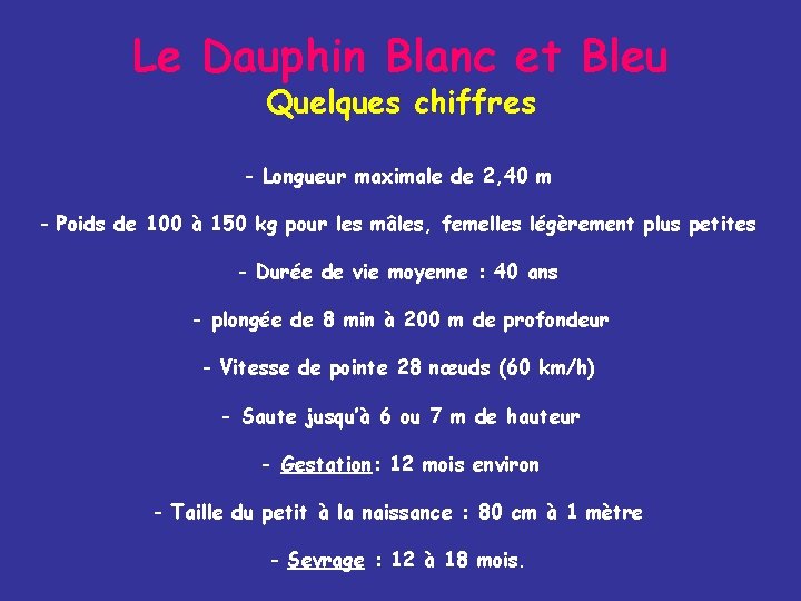 Le Dauphin Blanc et Bleu Quelques chiffres - Longueur maximale de 2, 40 m