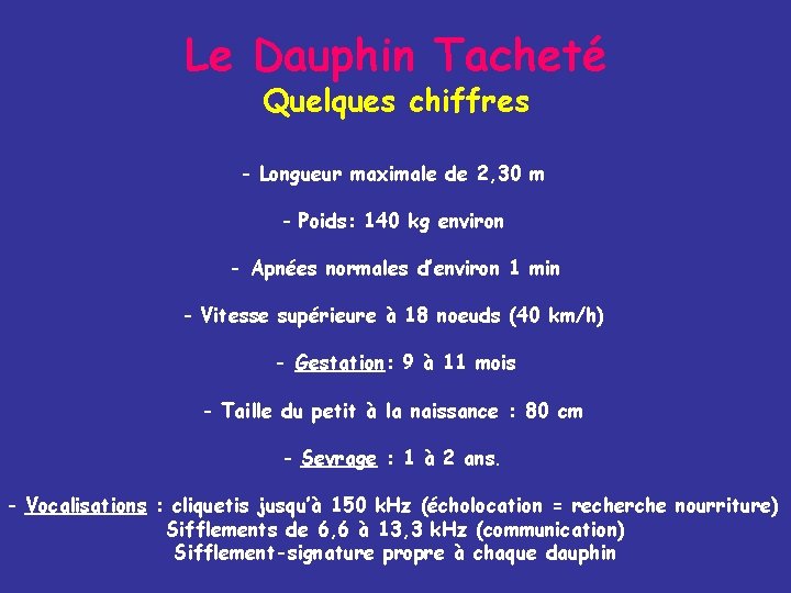 Le Dauphin Tacheté Quelques chiffres - Longueur maximale de 2, 30 m - Poids: