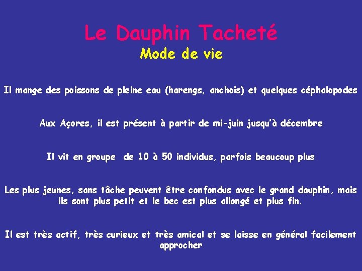 Le Dauphin Tacheté Mode de vie Il mange des poissons de pleine eau (harengs,