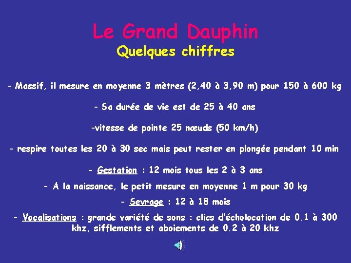 Le Grand Dauphin Quelques chiffres - Massif, il mesure en moyenne 3 mètres (2,