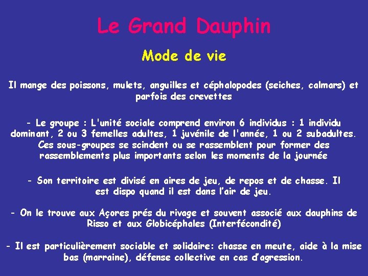 Le Grand Dauphin Mode de vie Il mange des poissons, mulets, anguilles et céphalopodes