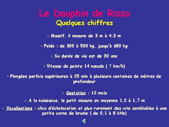 Le Dauphin de Risso Quelques chiffres - Massif, il mesure de 3 m à