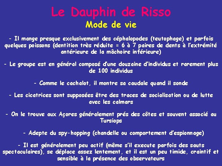 Le Dauphin de Risso Mode de vie - Il mange presque exclusivement des céphalopodes