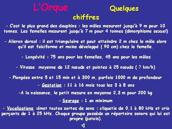 L’Orque chiffres Quelques - C’est le plus grand des dauphins : les mâles mesurent