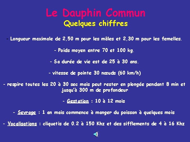 Le Dauphin Commun Quelques chiffres - Longueur maximale de 2, 50 m pour les