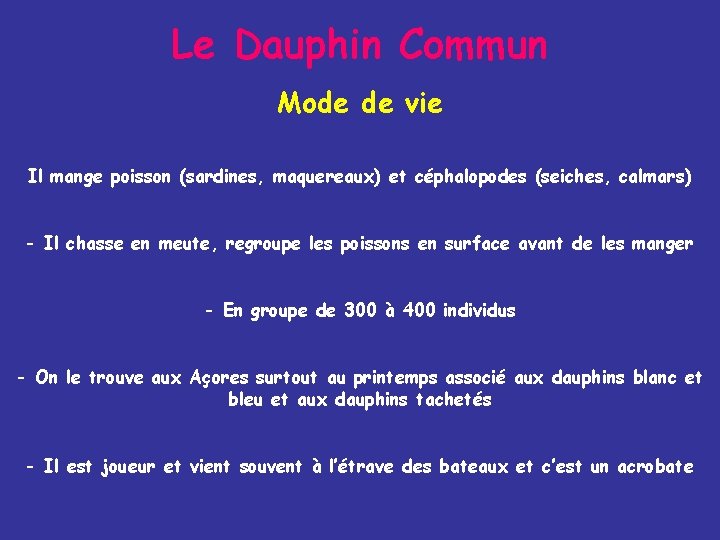 Le Dauphin Commun Mode de vie Il mange poisson (sardines, maquereaux) et céphalopodes (seiches,
