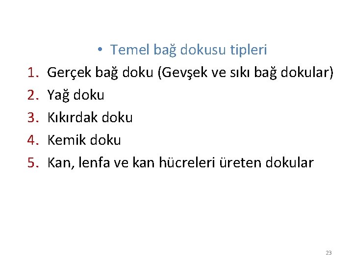 1. 2. 3. 4. 5. • Temel bağ dokusu tipleri Gerçek bağ doku (Gevşek