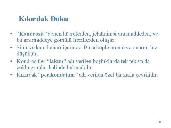 Kıkırdak Doku • “Kondrosit” denen hücrelerden, jelatinimsi ara maddeden, ve bu ara maddeye gömülü