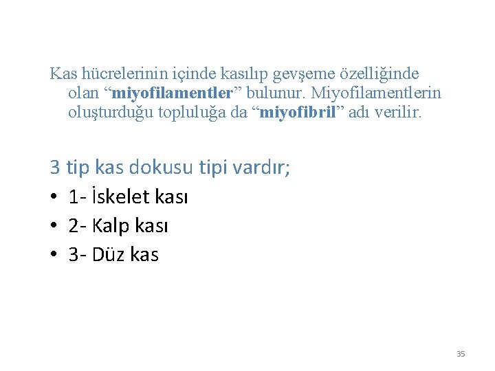 Kas hücrelerinin içinde kasılıp gevşeme özelliğinde olan “miyofilamentler” bulunur. Miyofilamentlerin oluşturduğu topluluğa da “miyofibril”