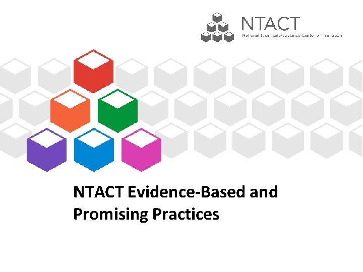 NTACT Evidence-Based and Promising Practices 