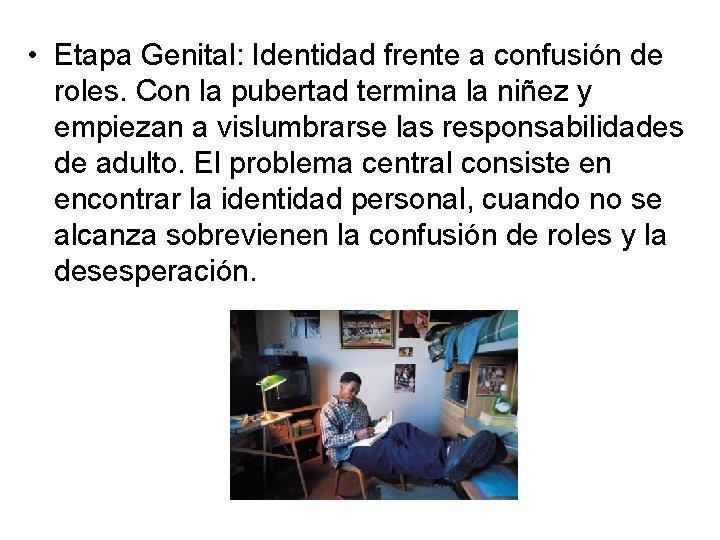  • Etapa Genital: Identidad frente a confusión de roles. Con la pubertad termina