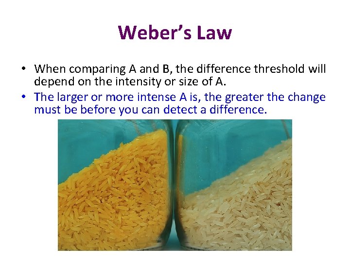 Weber’s Law • When comparing A and B, the difference threshold will depend on