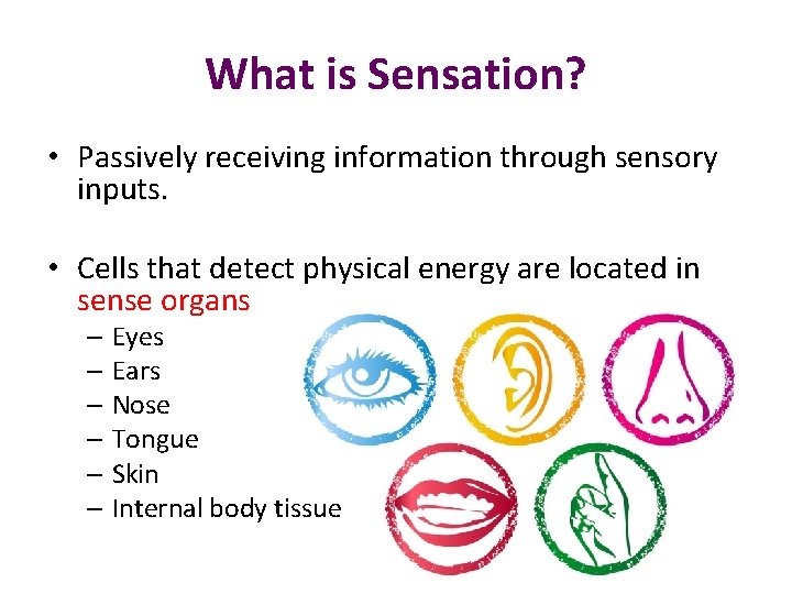What is Sensation? • Passively receiving information through sensory inputs. • Cells that detect
