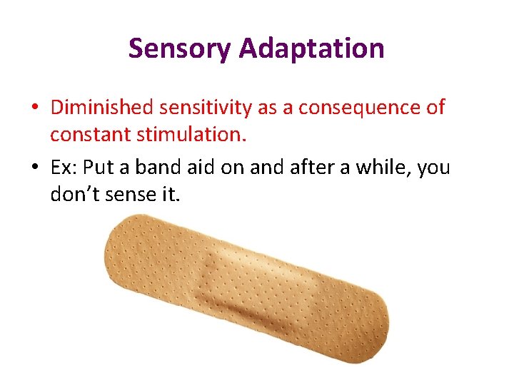 Sensory Adaptation • Diminished sensitivity as a consequence of constant stimulation. • Ex: Put