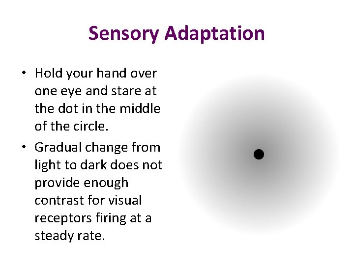 Sensory Adaptation • Hold your hand over one eye and stare at the dot