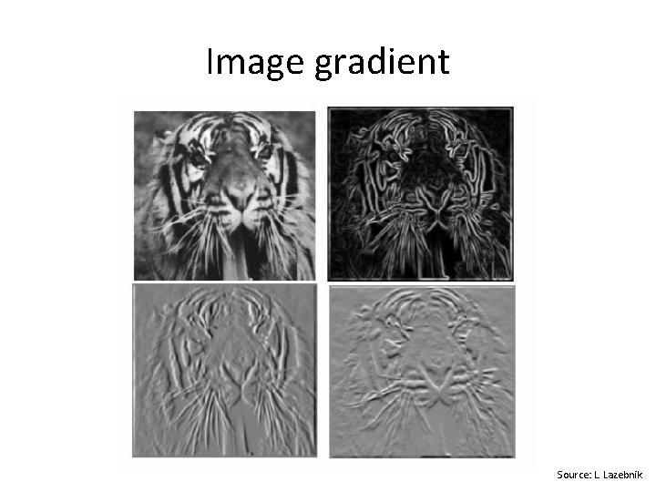 Image gradient Source: L. Lazebnik Image gradient Source: L. Lazebnik