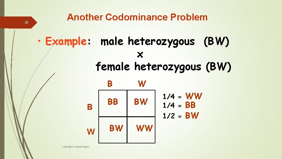 20 Another Codominance Problem • Example: male heterozygous (BW) x female heterozygous (BW) B