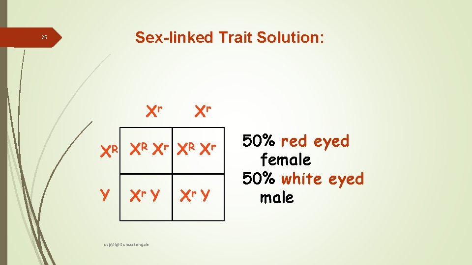 Sex-linked Trait Solution: 25 Xr XR XR Y Xr Y copyright cmassengale Xr Xr