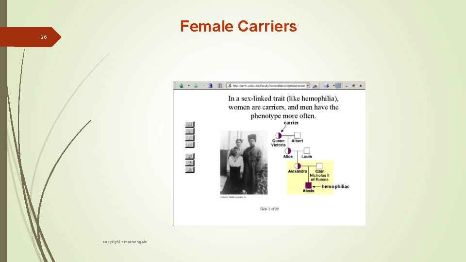 Female Carriers 26 copyright cmassengale 