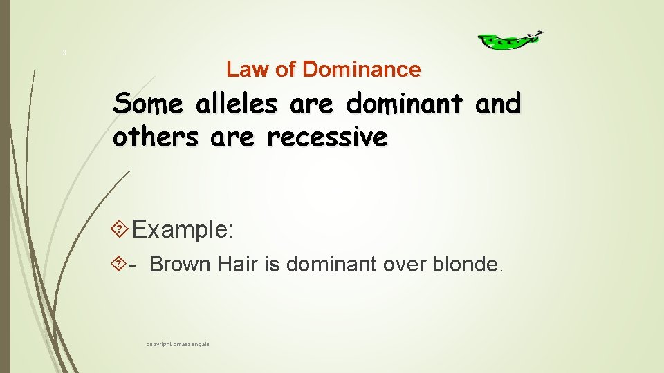 3 Law of Dominance Some alleles are dominant and others are recessive Example: -