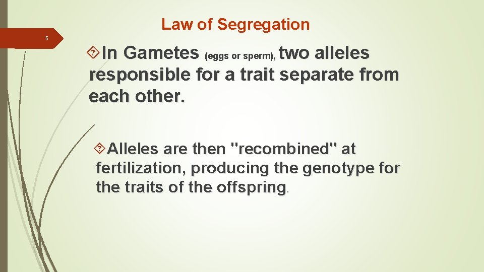 Law of Segregation 5 In Gametes (eggs or sperm), two alleles responsible for a