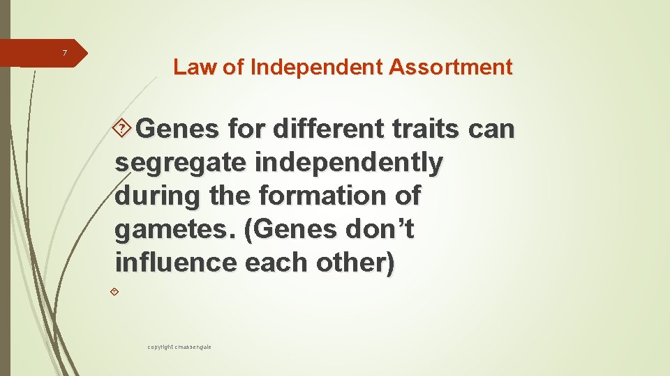 7 Law of Independent Assortment Genes for different traits can segregate independently during the