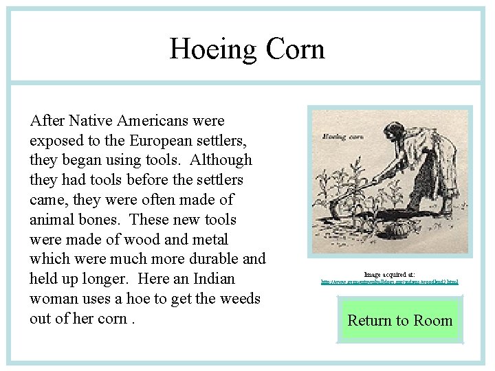 Hoeing Corn After Native Americans were exposed to the European settlers, they began using