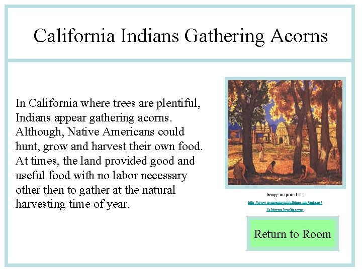 California Indians Gathering Acorns In California where trees are plentiful, Indians appear gathering acorns.