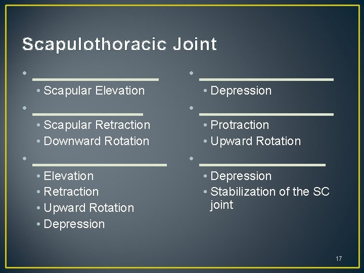 Scapulothoracic Joint • ________ • Scapular Elevation • _______ • Scapular Retraction • Downward