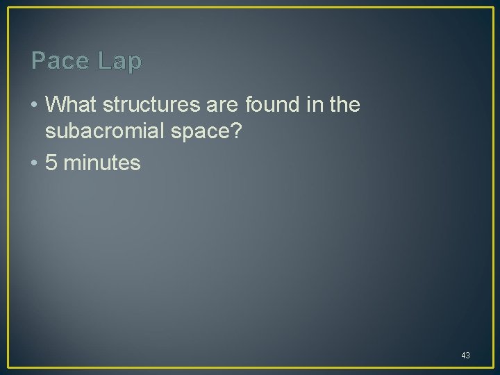 Pace Lap • What structures are found in the subacromial space? • 5 minutes